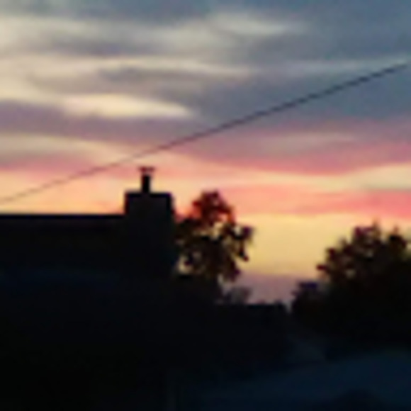 Meet your Posher, Christopher - Picture 1 of 1